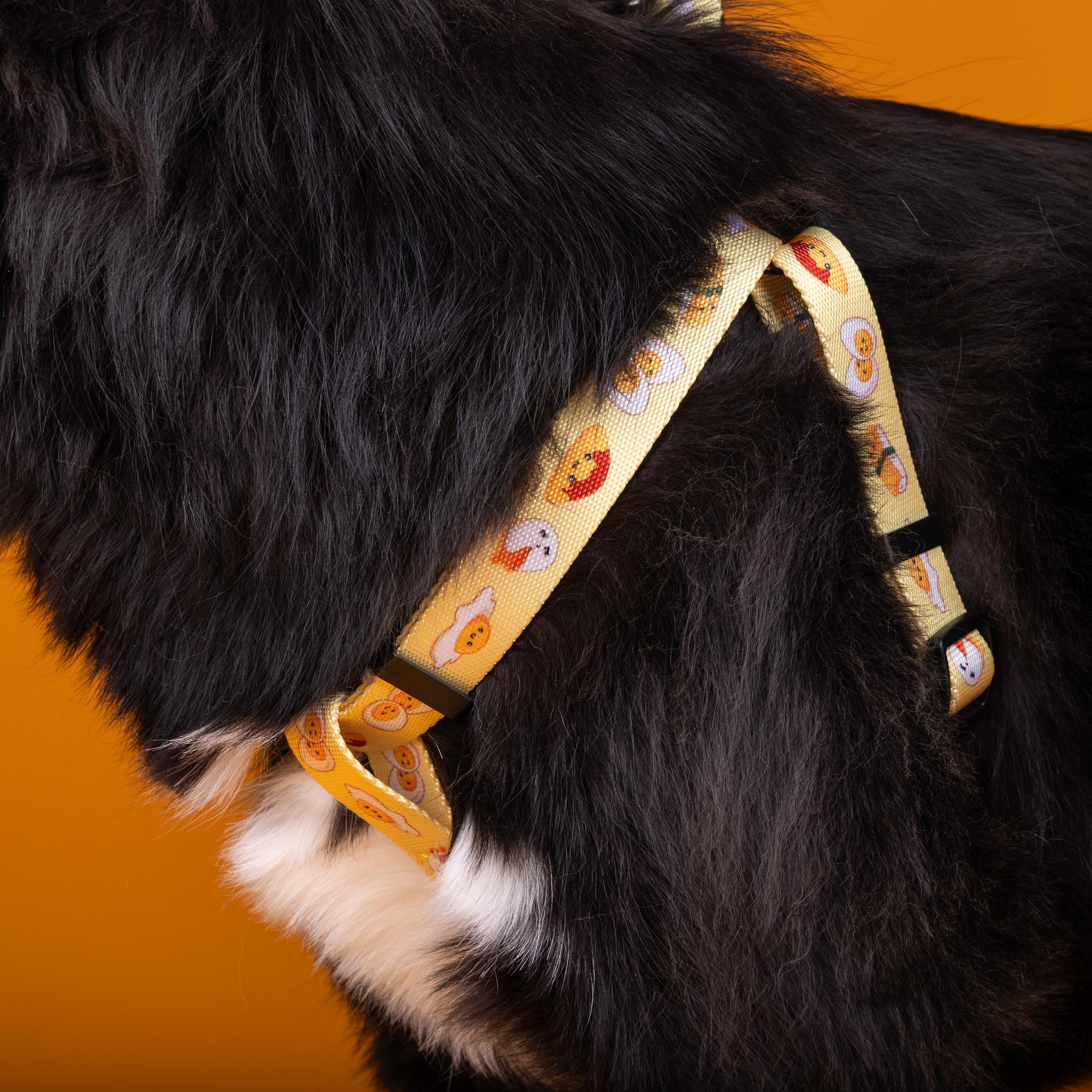 Tamago Harness