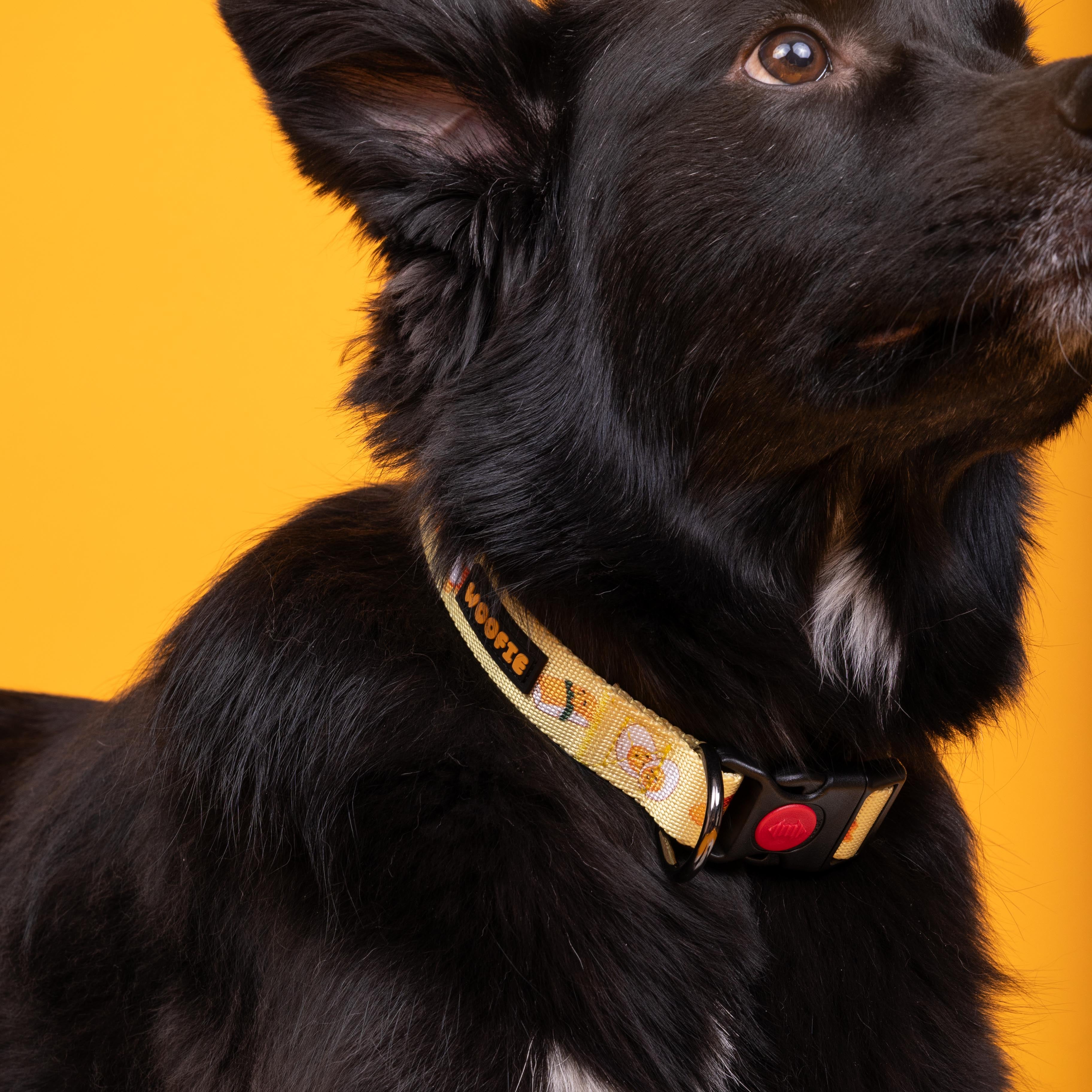 Tamago Collar