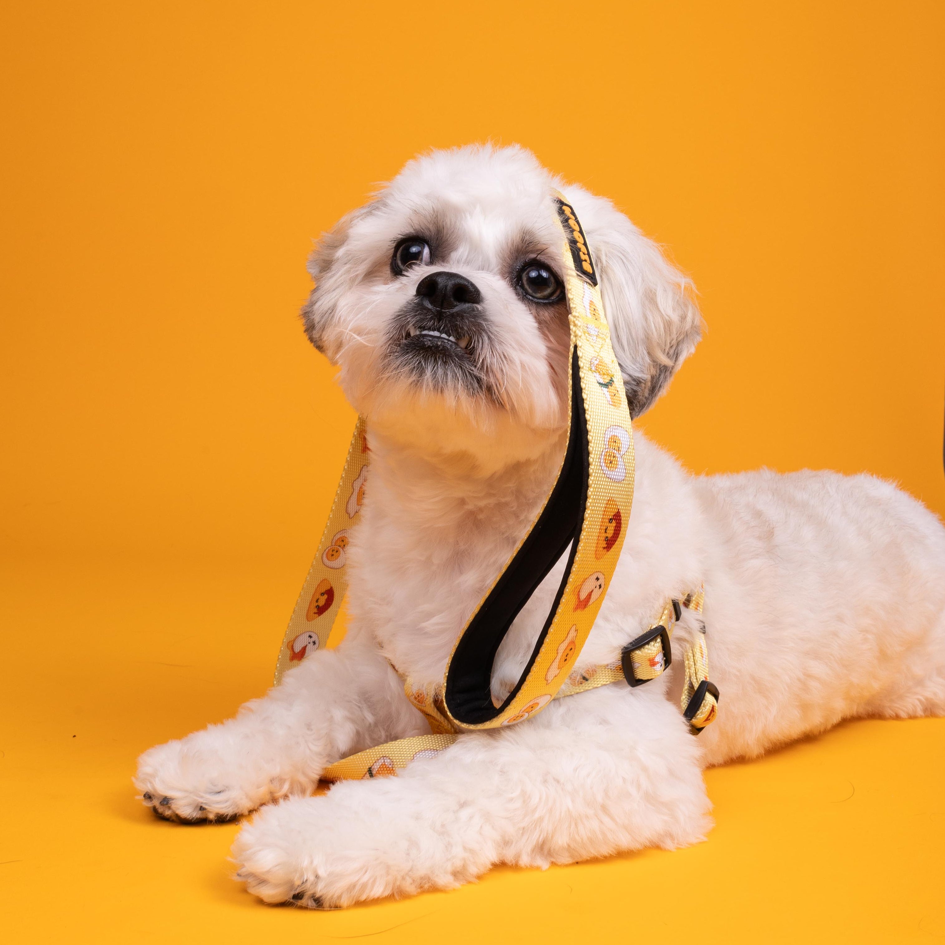 Tamago Leash