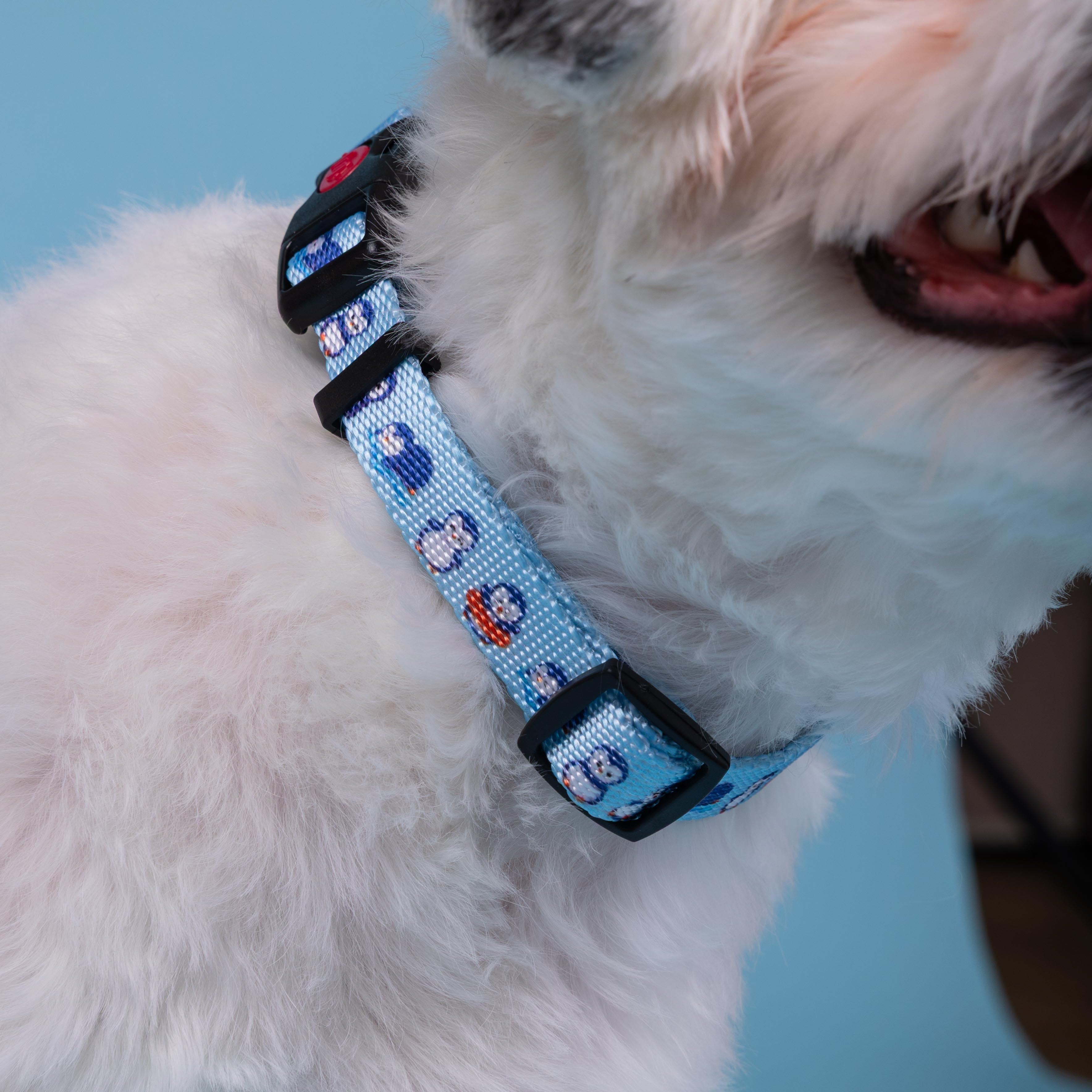 Penguin Collar