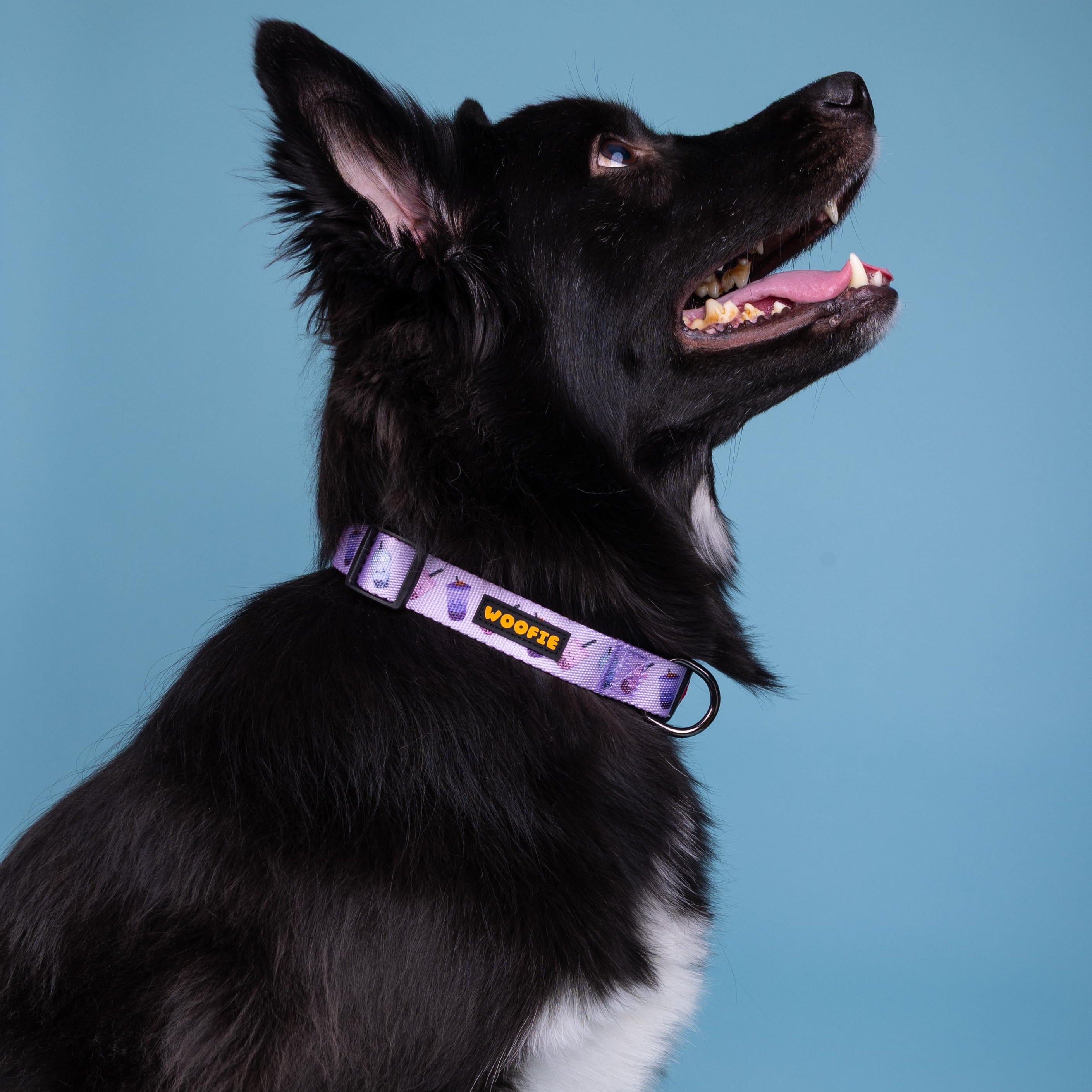 Boba Collar